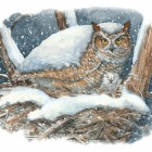 View "Owl Nesting"